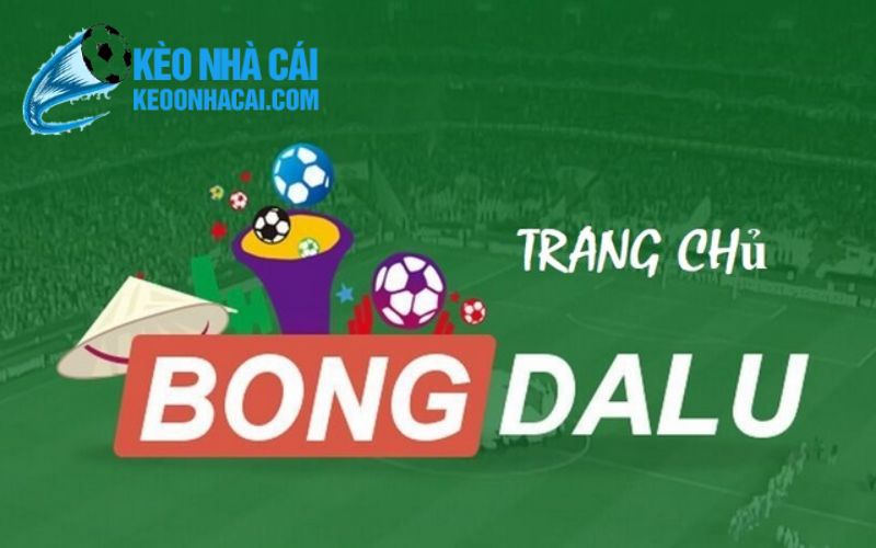 bongdalu Đôi nét về trang chủ bongdalu