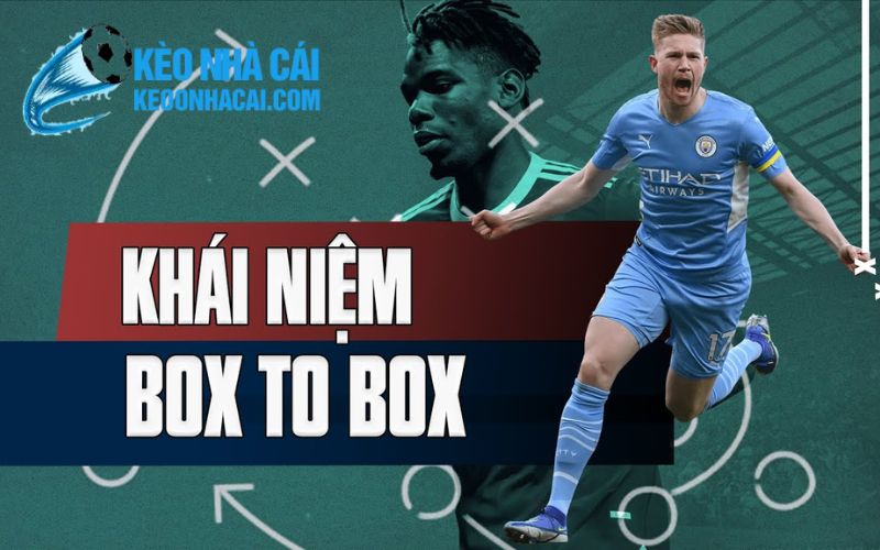 keonhacai 8 Box To Box Là Gì?