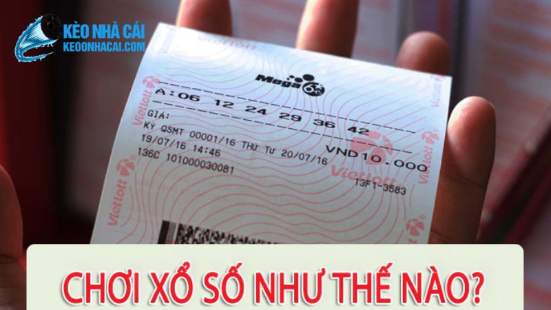 xo so 3 Mẹo chơi xổ số FB88 dễ trúng
